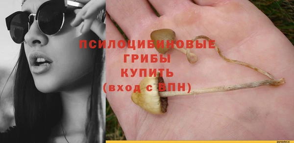 трава Алзамай