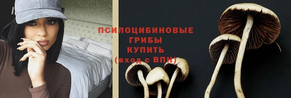 apvp Алексеевка
