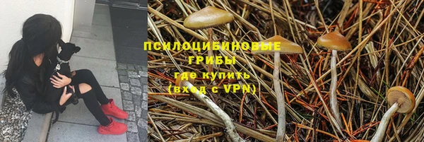меф Алексин