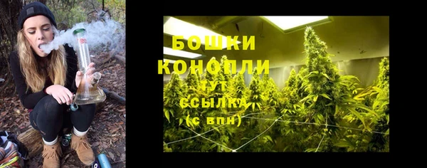 трава Алзамай